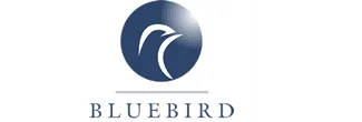 bluebird